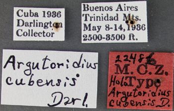 Media type: image;   Entomology 22486 Aspect: labels